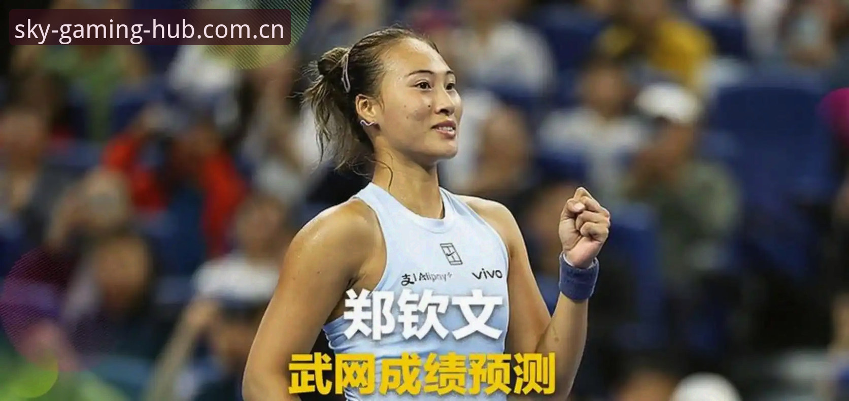 郑钦文外卡逆转背后的冷思考——一位老用户在星空体育平台看球的深度分析